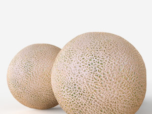 Cantalope 3D-Modell
