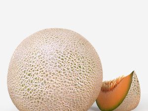 Cantalope 3D-Modell