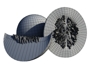 Cantalope 3D-Modell