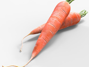 Carrots 3D Models