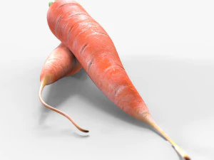 Carrots 3D Model
