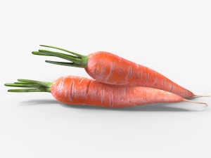 Carrots 3D 模型