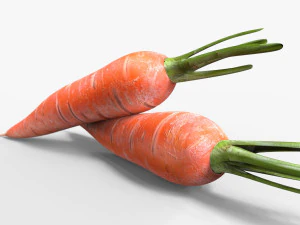 Carrots 3D Model