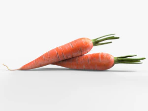 Carrots 3D Model