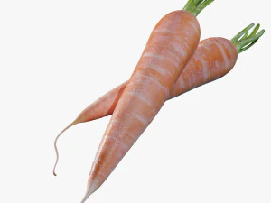 Carrots 3D Model