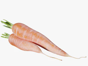 Carrots 3D Model