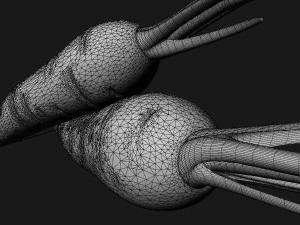 Carrots 3D Model