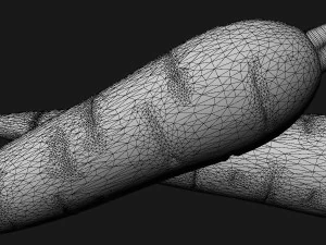 Carrots 3D Model