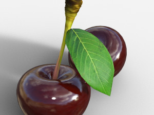 Cherry 3D मॉडल