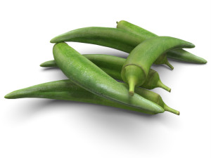 Okra 3Dモデル