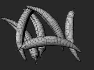 Okra 3Dモデル