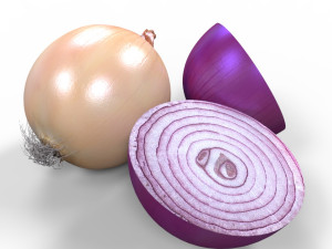 Onion 3D Model