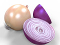 Onion 3D Models