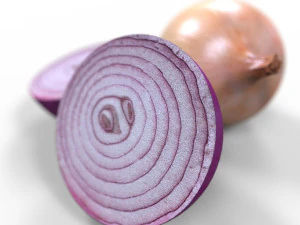 Onion 3D Model