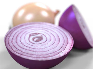 Onion 3D Model