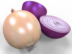 Onion 3D Model