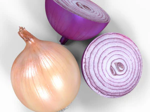 Onion 3D Model