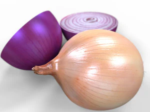 Onion 3D Model