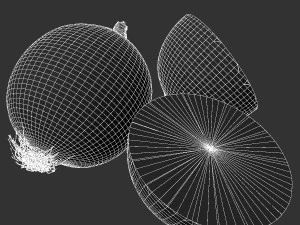 Onion 3D Model