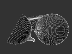 Onion 3D Model