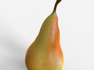 Pear 3D Model