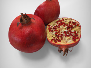 Pomegranate 3D Model