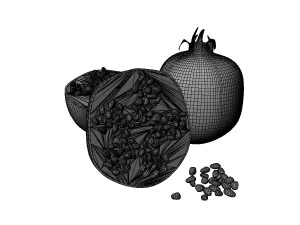 Pomegranate 3D Model