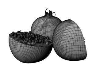 Pomegranate 3D Model