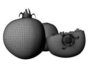 Pomegranate 3D Model