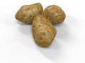 Potato 3D Models