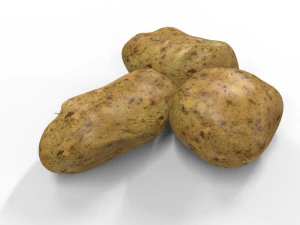 Potato 3D Model
