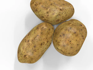 Potato 3D Model