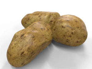 Potato 3D Model