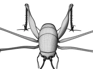 Camelback Cricket 3D Model