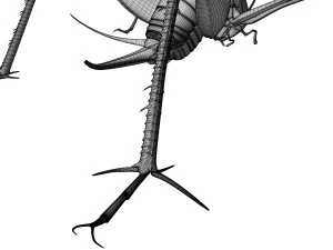 Camelback Cricket 3D Model