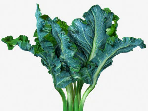 Couve Modelo 3D