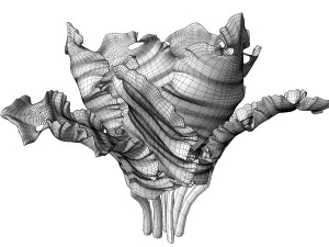 Kale 3D Model