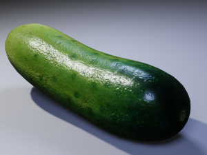 Cucumber 3D Model