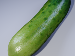 Cucumber 3D Model
