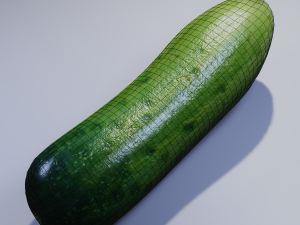 Cucumber 3D Model