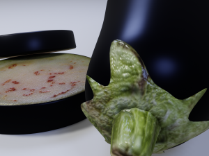 Eggplant Model 3D