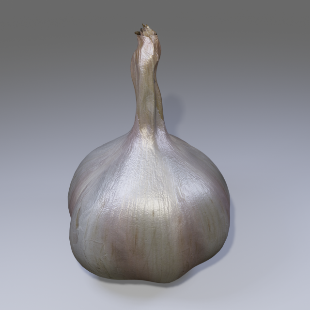 Garlic 3D 模型 .c4d .max .obj .3ds .fbx .stl .blend 