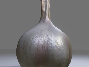 Garlic 3D Model