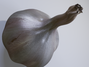 Garlic 3D 模型