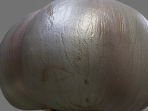 Garlic 3D 模型