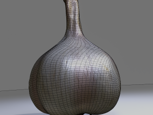 Garlic 3D 模型