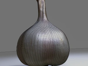 Garlic 3D Model