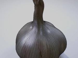 Garlic 3D Model