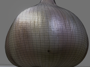 Garlic 3D 模型