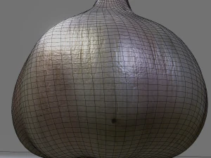 Garlic 3D Model